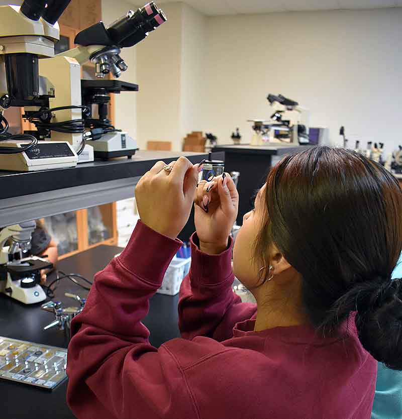 Female student studying a microscope slide