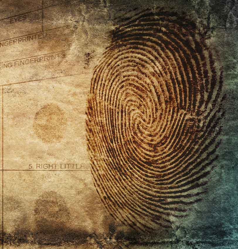 Grungy texture over fingerprint chart