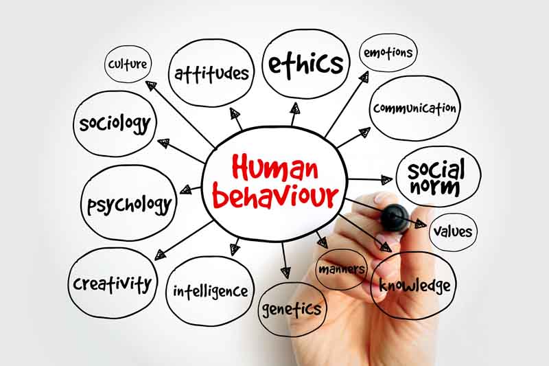 An infographic that shows different attributes of human behavior
