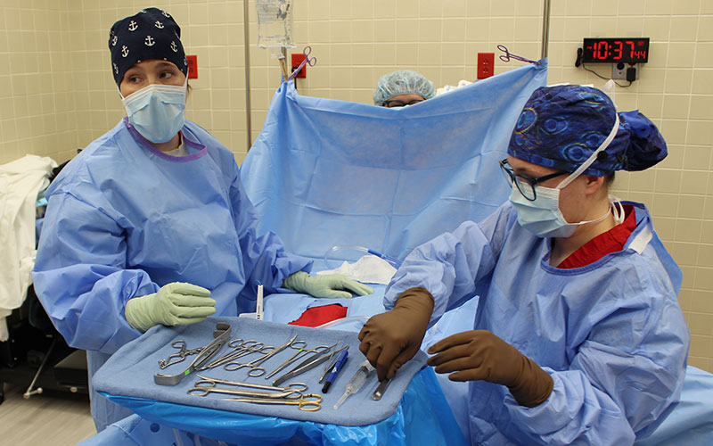 Student surgeons practicing an operation